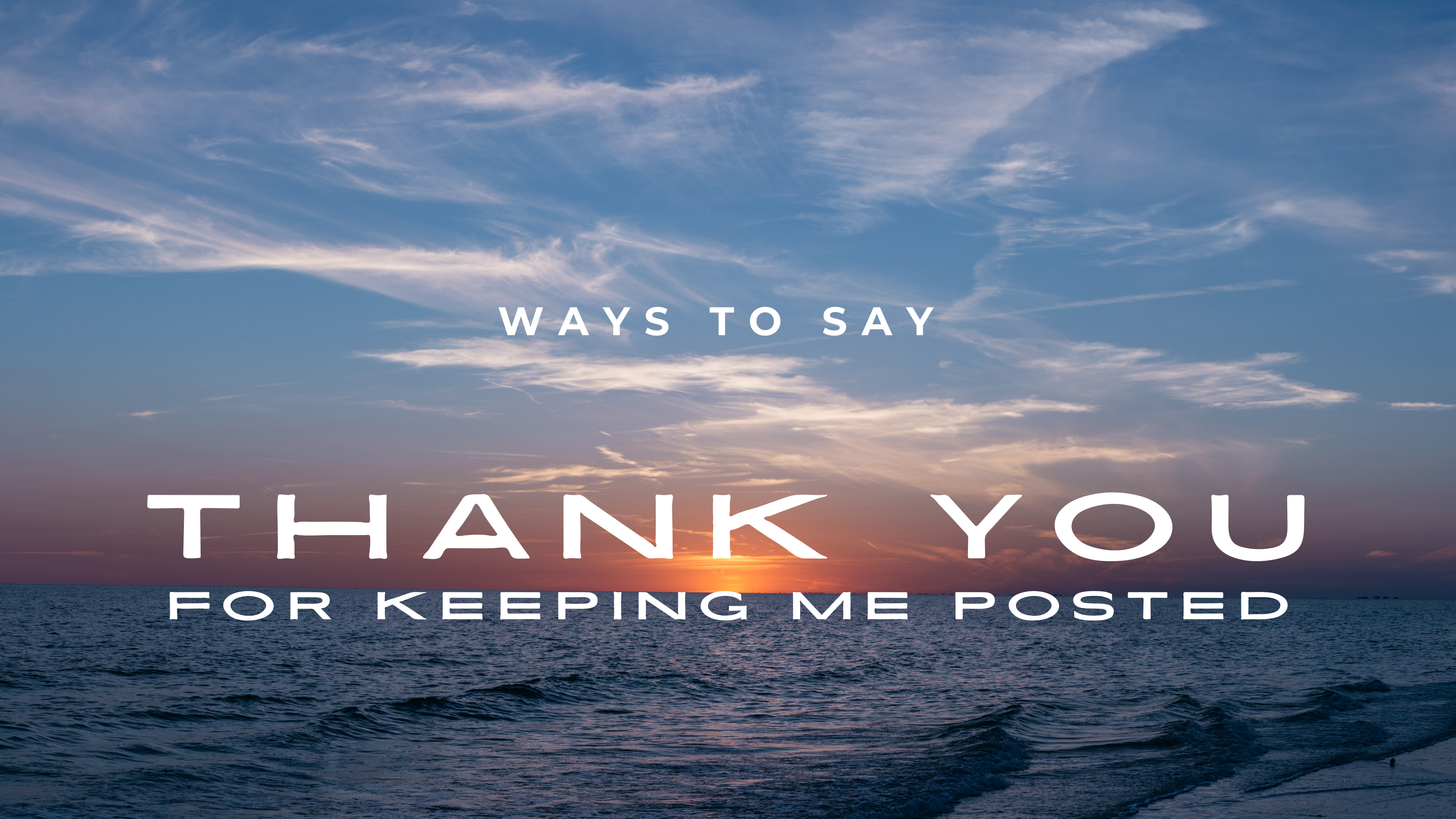 170+ Formal Ways To Say "Thank You For Keeping Me Posted" 2026
