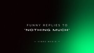 200+ Funny Replies To “Nothing Much”