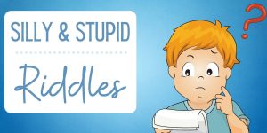 Stupid Riddles: The Dumbest Questions with the Smartest Answers