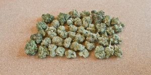 How Much Is A Quarter Bar of Weed? Discover Here