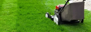 Maximizing Lawn Care Efficiency Using a Quality Grass Cutter Machine