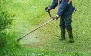 Proficient Use of Brush Cutter in Managing Farms and Lawns Provides Tremendous Benefits