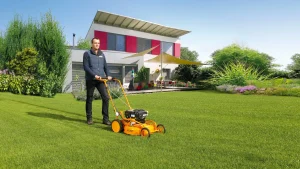 Saving Money Without Compromise on Quality on Lawn Mowers in Kenya