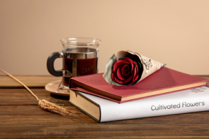 From Jane Austen to Colleen Hoover: How Romantic Literature Has Shaped Modern Love