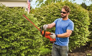 Choosing the Best Hedge Trimmer for Your Landscaping Concerns