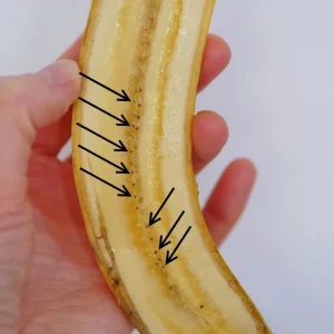 Banana Seeds