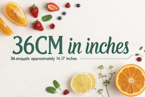 36cm in Inches