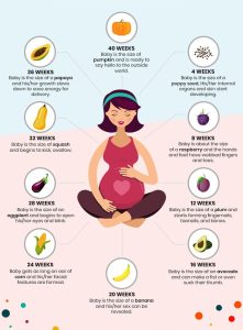 11 Weeks Pregnant Baby Size Fruit Bellabeat.com