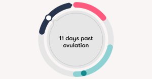 11 DPO Bellabeat.com: Understanding Your Body’s Signals in the Two-Week Wait