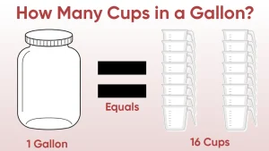 How Many Cups Is in a Half Gallon
