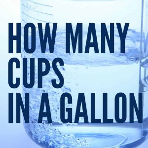 How Many Cups Is in a Half Gallon