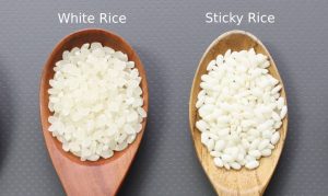 Sticky Rice vs White Rice: A Comprehensive Comparison of Two Staple Grains