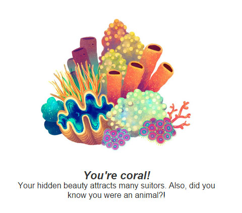 Google Earth Day Quiz: A Fun Way to Celebrate and Learn About Our ...