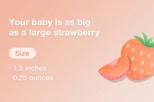 11 Weeks Pregnant Baby Size Fruit Bellabeat.com