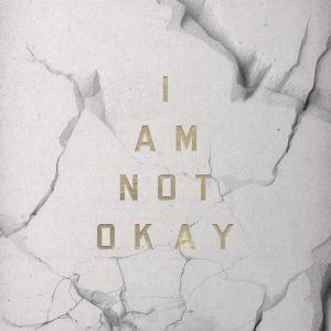 Jelly Roll I Am Not Okay Lyrics