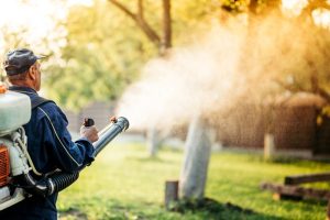 How Often Should You Schedule Mosquito Spraying for Optimal Results?