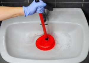 Why Regular Drain Maintenance Matters: Tips for Long-Term Protection