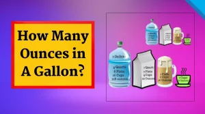 How Many Ounces Are in a Gallon: A Complete Guide to Liquid Conversions
