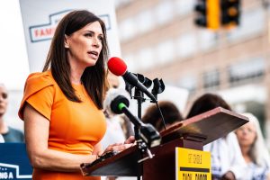 Tudor Dixon Net Worth