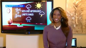 Lynette Charles Net Worth: Decoding the Fortune of a Weather Forecasting Icon