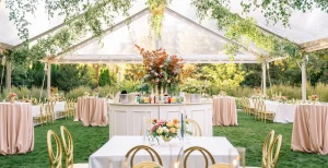 Elevating Your Celebration with Stylish Wedding Equipment Hire in Utah