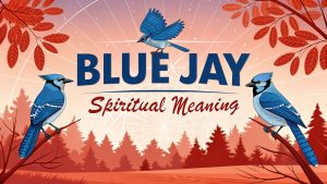 Blue Jay Spiritual Meaning
