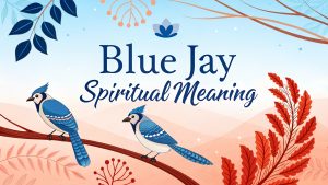 Blue Jay Spiritual Meaning: Messages of Courage and Guidance