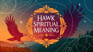Hawk Spiritual Meaning