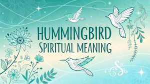 Hummingbird Spiritual Meaning
