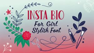 Insta Bio For Girl Stylish Font