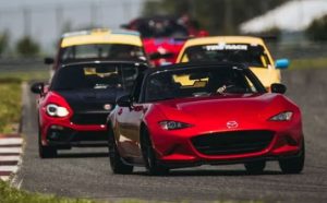 What Defines a Motorsport Fan’s Must-Have Items?