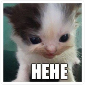 Hehe Meme: Spark Endless Giggles and Viral Vibes with Playful Digital Laughter in 2025