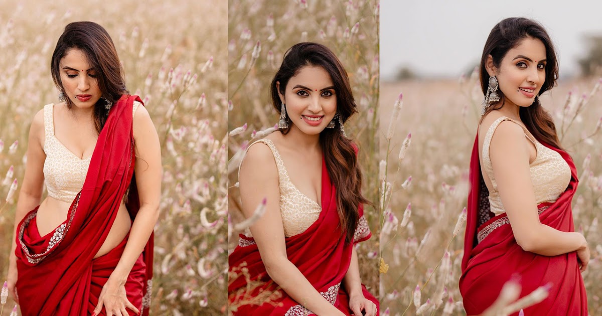 Priyanka Kholgade Age, Net Worth, Career & Relationship 2026