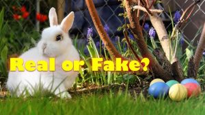 Is the Easter Bunny Real? History & Meaning 2026