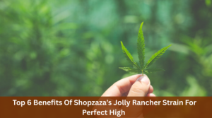 Top 6 Benefits Of Shopzaza’s Jolly Rancher Strain For Perfect High