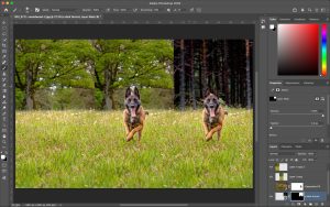 The Best Online Photo Editors for Filters and Text in 2026: What’s Actually Worth Your Time