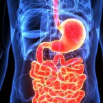Why Do I Have Diarrhea Every Day? 7 Possible Reasons 2026