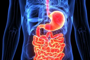 Why Do I Have Diarrhea Every Day? 7 Possible Reasons 2026