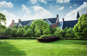 7 Tips For Successful Lawn Seeding In Raleigh 