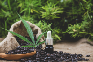 Kratom And The Law: 5 Reasons For Increased Regulatory Attention In Canada