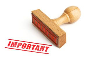 Why Is It Important? Expert Insights Explained 2026
