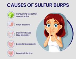 Why Do My Burps Smell Like Rotten Eggs? Top Reasons 2026