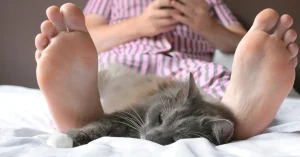Why Do Cats Sleep at Your Feet and What It Means 2026