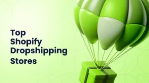 What Makes the Most Profitable Shopify Dropshipping Stores Stand Out?
