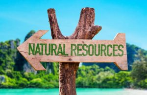 Why Are Natural Resources Important? Benefits & Uses 2026