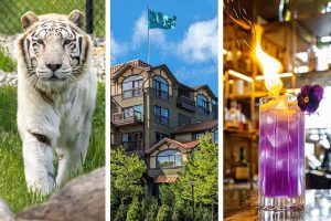Why Is Nemacolin So Expensive? Luxury Explained 2026