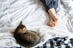 Why Does My Cat Lay on My Feet? Cat Behavior Explained (2026)