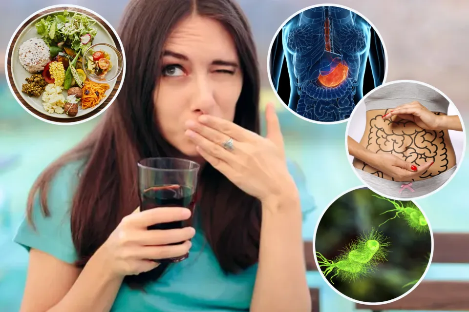 Why Am I Burping Eggs? Sulfur Burp Causes 2026