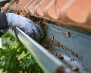 The Hidden Risks of Neglected Gutters Before an Alberta Winter