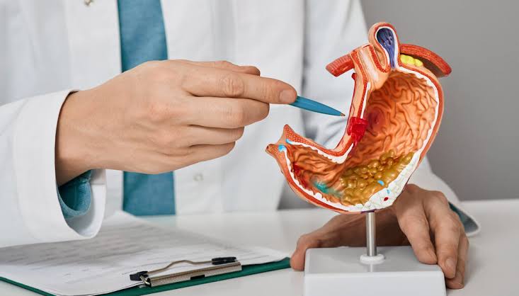 Why Would I Be Referred to a Gastroenterologist? Causes & What To Do 2026